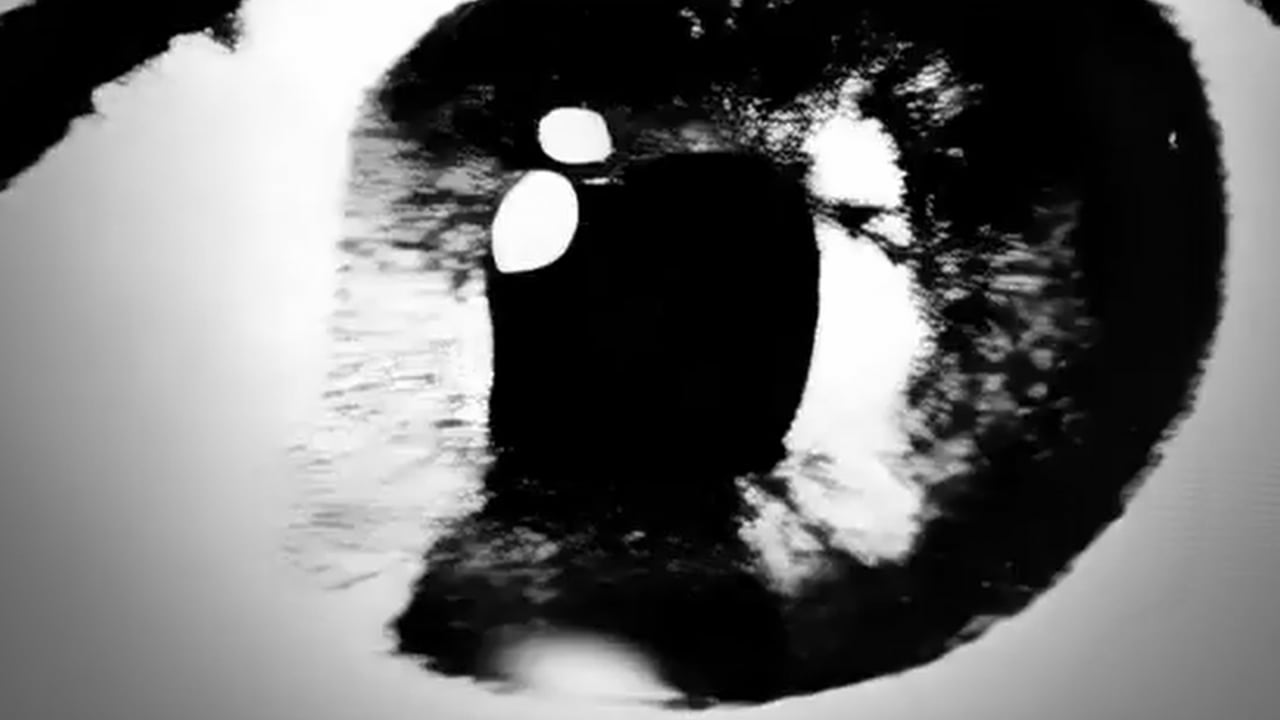 Rorschach’s Garden